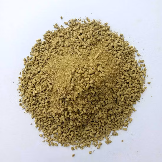 GMP Factory Экстракт цветов дикой хризантемы/Хризантема Индикум L Кормовая пыльца хризантемы